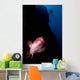 Mexican Hogfish Bodianus Diplotaenia Wall Decal Design 1