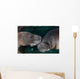 Manatee Couple Trichechus Manatus Wall Decal