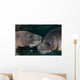 Manatee Couple Trichechus Manatus Wall Decal