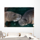 Manatee Couple Trichechus Manatus Wall Decal