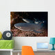 Whitetip Reef Sharks Resting Wall Decal