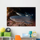 Whitetip Reef Sharks Resting Wall Decal