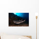 Whitetip Reef Sharks Swimming Wall Decal