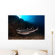 Whitetip Reef Sharks Swimming Wall Decal