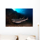 Whitetip Reef Sharks Swimming Wall Decal