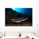 Whitetip Reef Sharks Swimming Wall Decal
