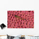 Lizard Triplefin Top Sea Wall Decal Design 1