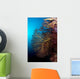 Soft Coral and Gorgonians Wall Decal