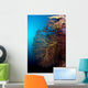 Soft Coral and Gorgonians Wall Decal
