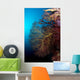 Soft Coral and Gorgonians Wall Decal
