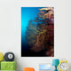 Soft Coral and Gorgonians Wall Decal
