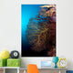 Soft Coral and Gorgonians Wall Decal