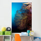 Soft Coral and Gorgonians Wall Decal