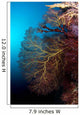 Soft Coral and Gorgonians Wall Decal