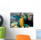 Golden Blenny Ecsenius Midas Wall Decal