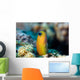 Golden Blenny Ecsenius Midas Wall Decal