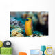 Golden Blenny Ecsenius Midas Wall Decal