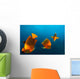 Group Clarion Angelfish Socorro Wall Decal