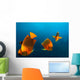 Group Clarion Angelfish Socorro Wall Decal