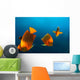 Group Clarion Angelfish Socorro Wall Decal