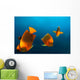 Group Clarion Angelfish Socorro Wall Decal