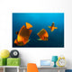 Group Clarion Angelfish Socorro Wall Decal