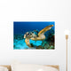 Hawksbill Sea Turtle Portrait Wall Decal Design 1