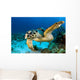 Hawksbill Sea Turtle Portrait Wall Decal Design 1