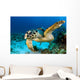 Hawksbill Sea Turtle Portrait Wall Decal Design 1