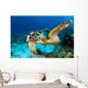 Hawksbill Sea Turtle Portrait Wall Decal Design 1