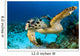 Hawksbill Sea Turtle Portrait Wall Decal Design 1