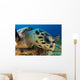 Hawksbill Sea Turtle Searching Wall Decal