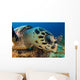 Hawksbill Sea Turtle Searching Wall Decal