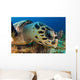 Hawksbill Sea Turtle Searching Wall Decal