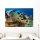 Hawksbill Sea Turtle Searching Wall Decal