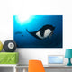 Two Manta Rays Manta Wall Decal