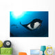 Two Manta Rays Manta Wall Decal