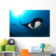 Two Manta Rays Manta Wall Decal