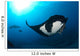 Two Manta Rays Manta Wall Decal