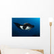 Giant Manta Ray Manta Wall Decal Design 7