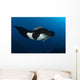Giant Manta Ray Manta Wall Decal Design 7