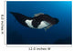 Giant Manta Ray Manta Wall Decal Design 7