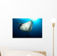 Giant Manta Ray Manta Wall Decal Design 6