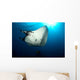 Giant Manta Ray Manta Wall Decal Design 6