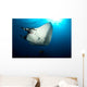 Giant Manta Ray Manta Wall Decal Design 6