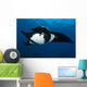 Giant Manta Ray Manta Wall Decal Design 5