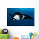 Giant Manta Ray Manta Wall Decal Design 5