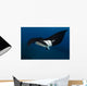 Giant Manta Ray Manta Wall Decal Design 4