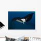 Giant Manta Ray Manta Wall Decal Design 4