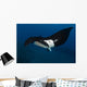 Giant Manta Ray Manta Wall Decal Design 4